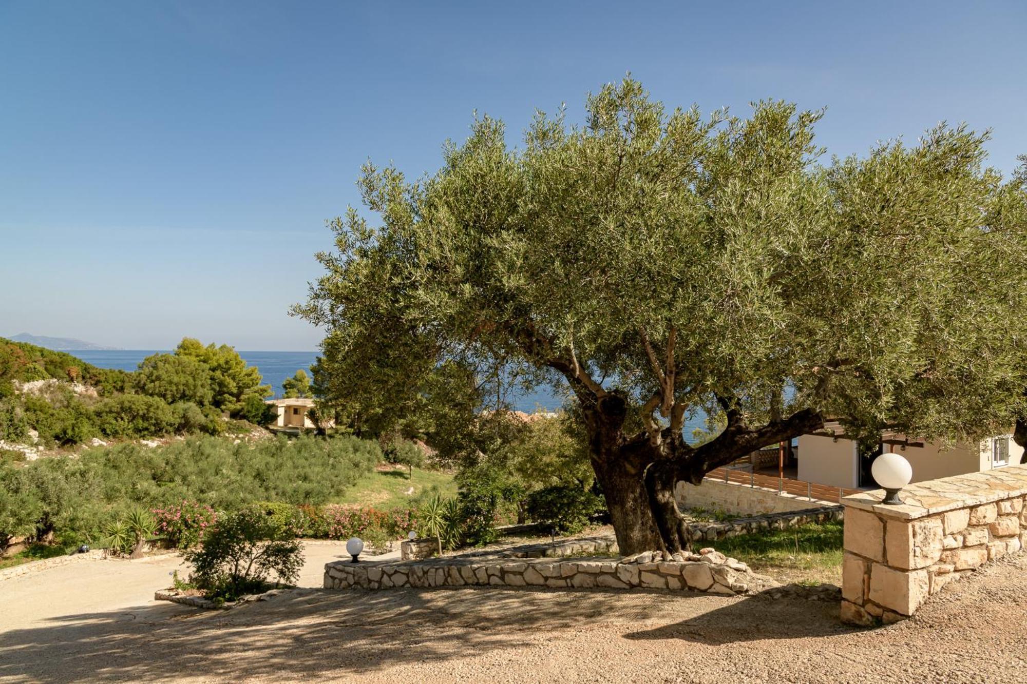 Apartmán Mare